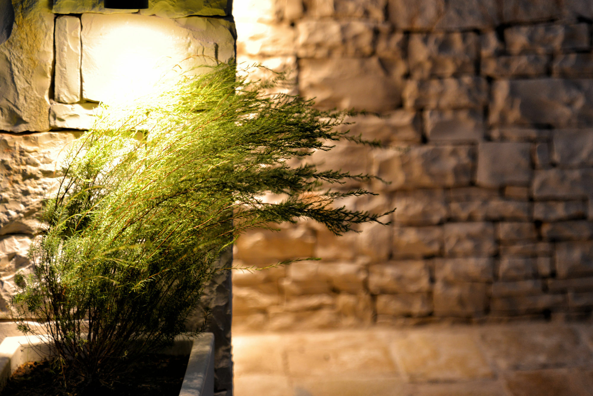 Agriturismo Nonna Rosa Matera Kültér fotó